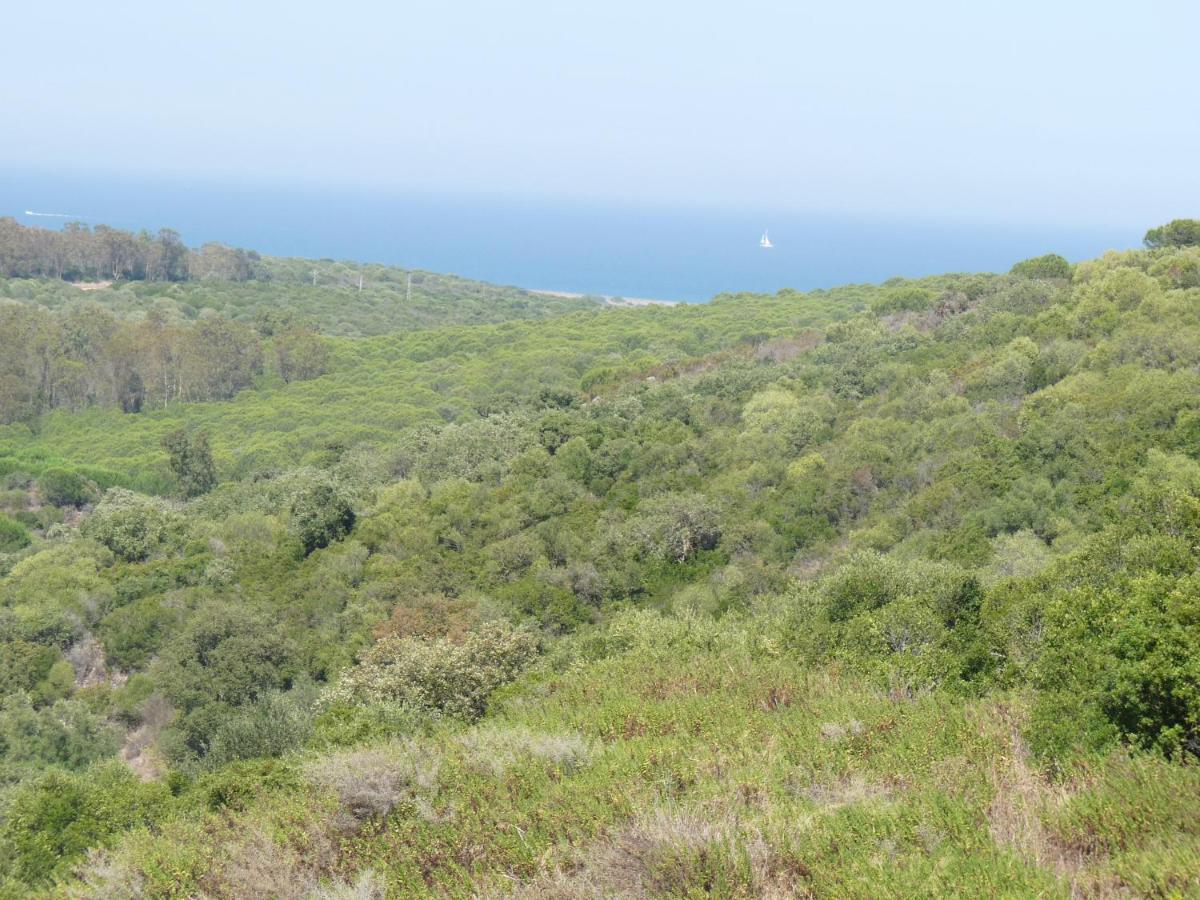 Appartamento Terrazas De Alcaidesa 2361 Esterno foto